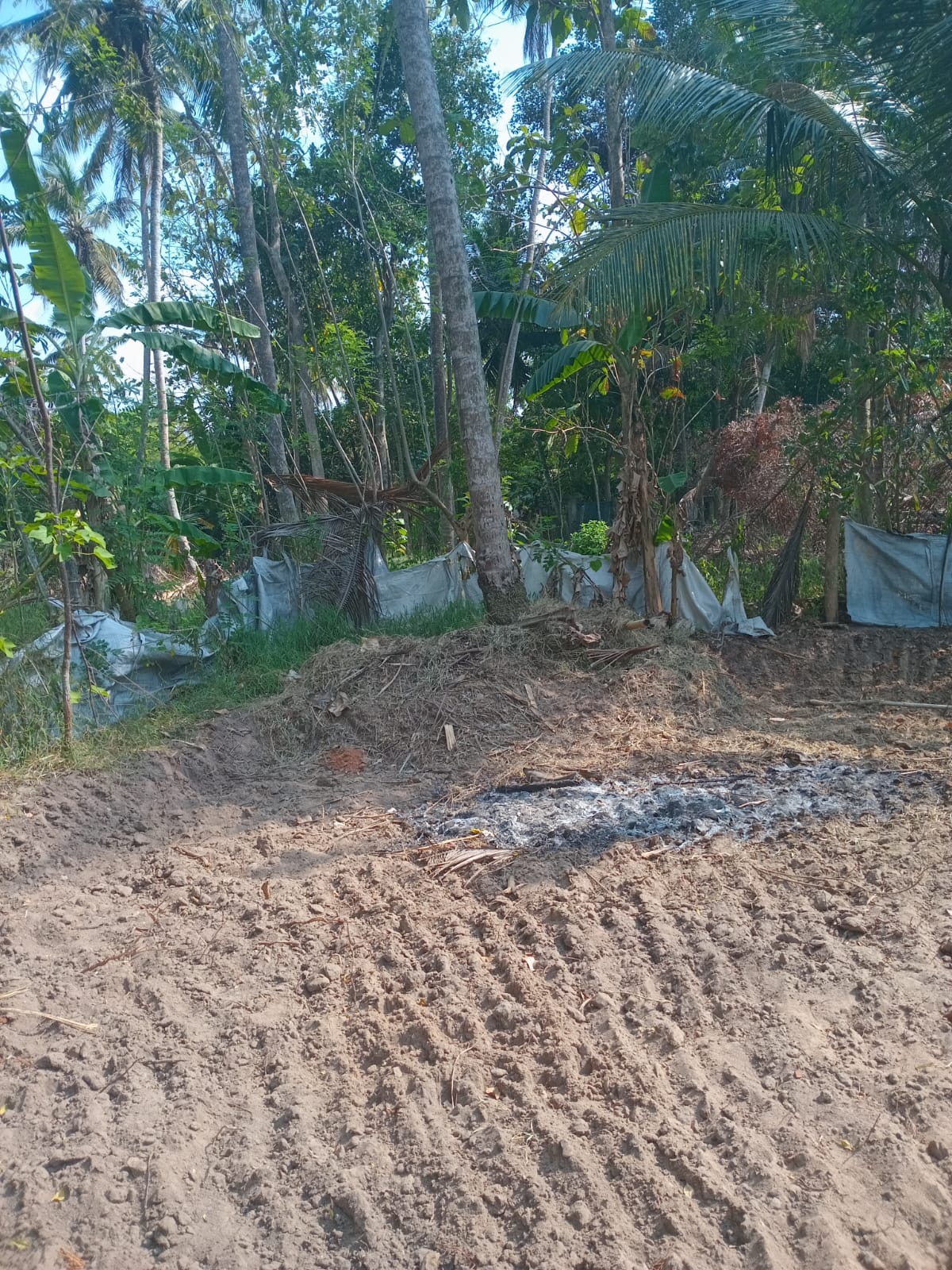 Land sale with house in nattandiya town